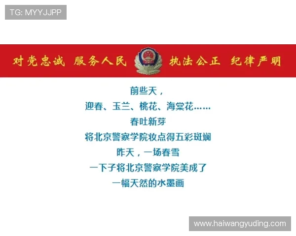 独行侠静待春天敲定总经理人选体育运营经验成选帅核心方向