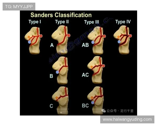 皮划艇动力链传导技术细节